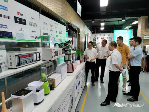 熱烈歡迎中山工信廳及工業(yè)互聯(lián)網(wǎng)與數(shù)字產(chǎn)業(yè)領(lǐng)導(dǎo)深入調(diào)研家電集群與安裝服務(wù)